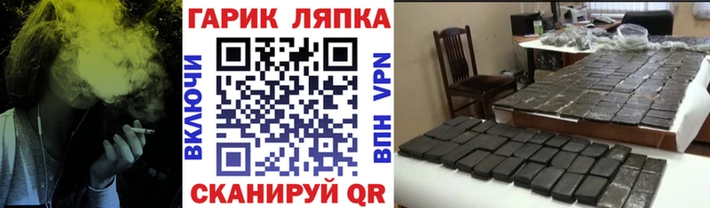 ГАШ Premium  Сольвычегодск 
