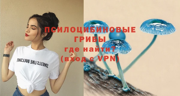 прущие грибы Арсеньев