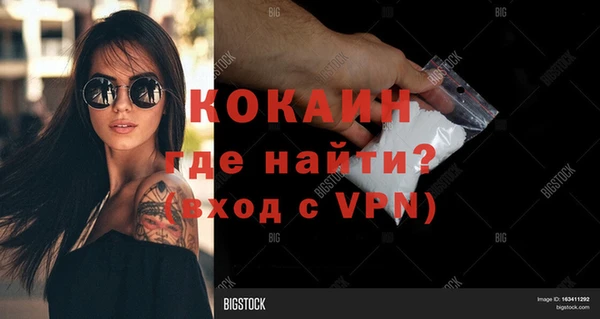 прущие грибы Арсеньев
