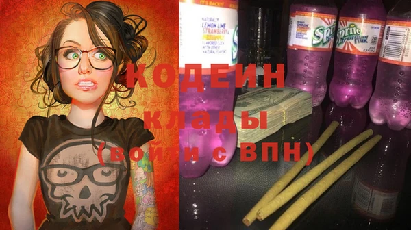 прущие грибы Арсеньев
