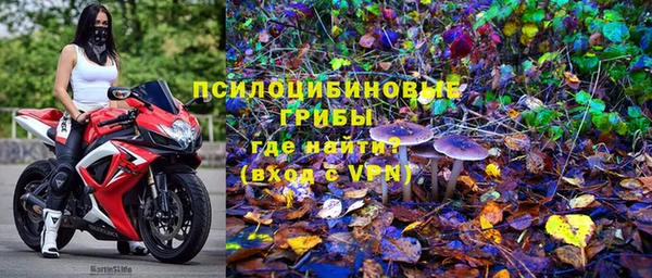 прущие грибы Арсеньев