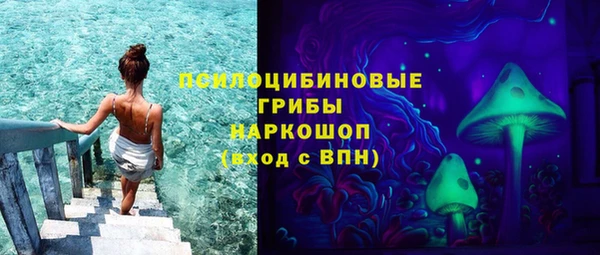 прущие грибы Армянск
