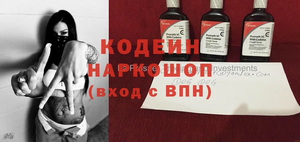 прущие грибы Армянск