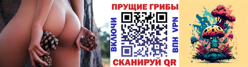 наркотики Сольвычегодск Галлюциногенные грибы MAGIC MUSHROOMS
